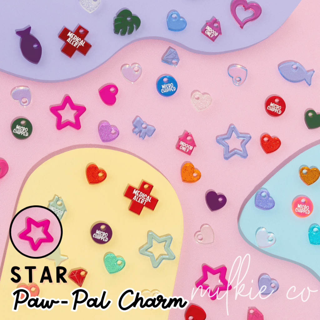 Star Paw-Pal Charm